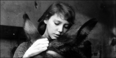 Au Hasard Balthazar 1966 - Rotten Tomatoes