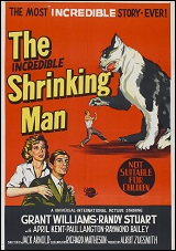 Incredible Shrinking Man, The