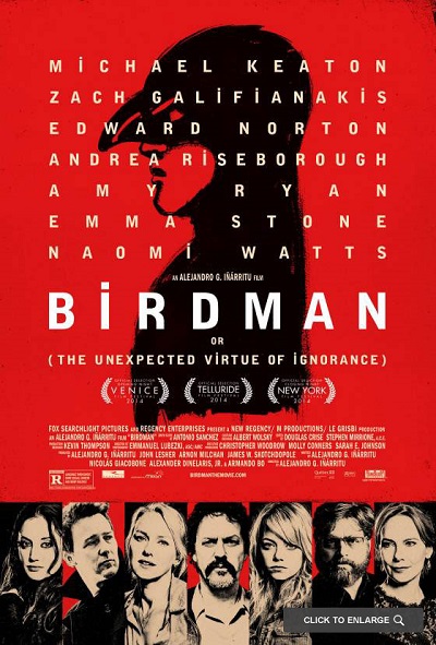 Birdman or (The Unexpected Virtue of Ignorance)